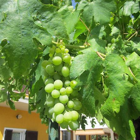 Agriturismo La Carlina Βίλα Magliano in Toscana Εξωτερικό φωτογραφία