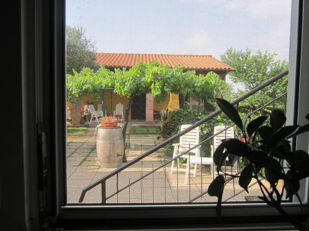 Agriturismo La Carlina Βίλα Magliano in Toscana Εξωτερικό φωτογραφία