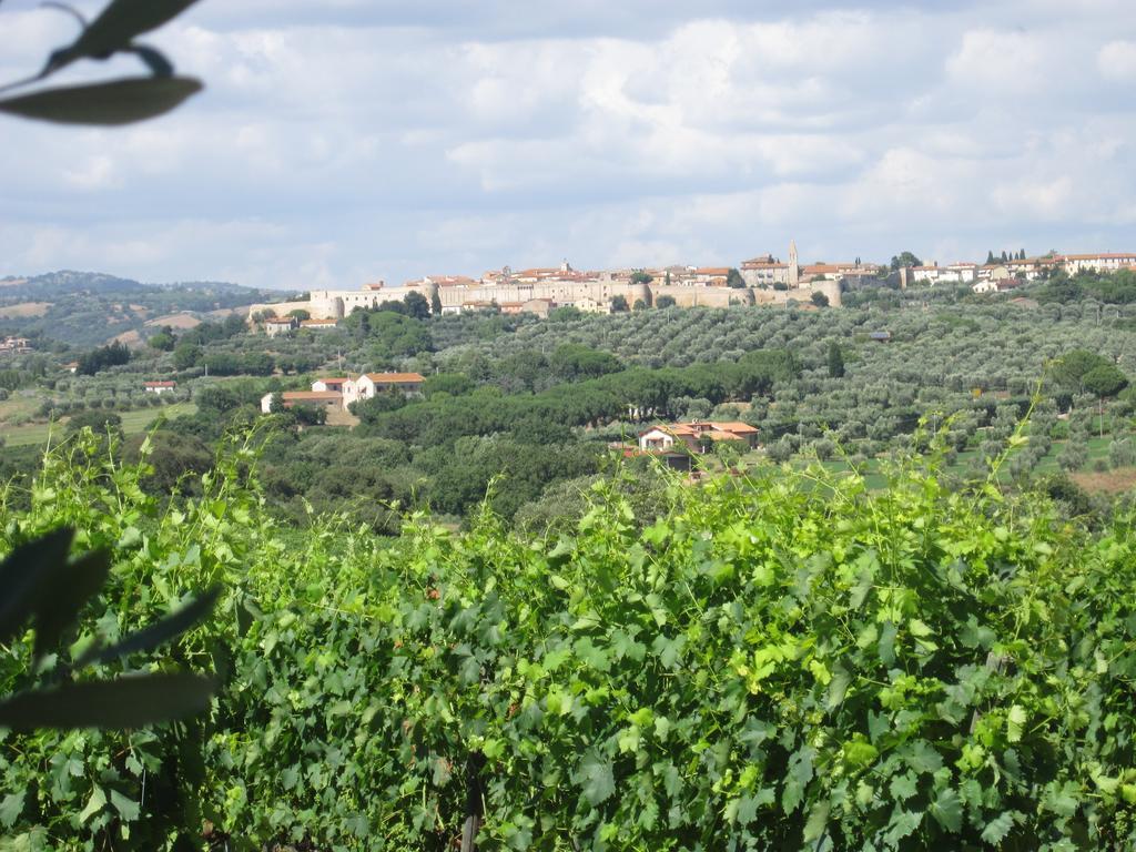 Agriturismo La Carlina Βίλα Magliano in Toscana Εξωτερικό φωτογραφία