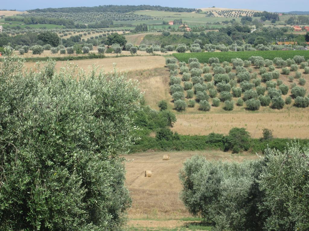 Agriturismo La Carlina Βίλα Magliano in Toscana Εξωτερικό φωτογραφία