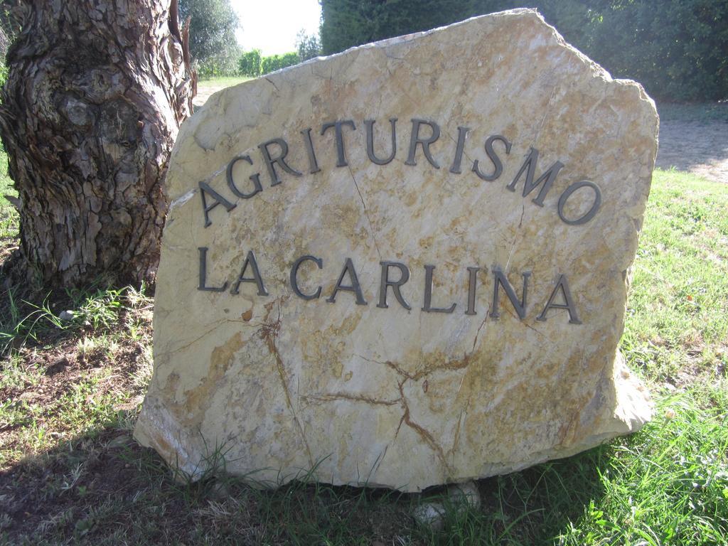 Agriturismo La Carlina Βίλα Magliano in Toscana Εξωτερικό φωτογραφία