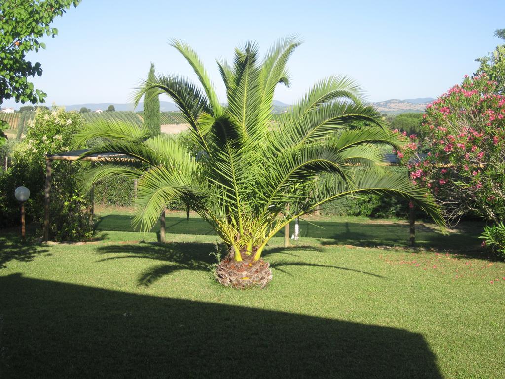 Agriturismo La Carlina Βίλα Magliano in Toscana Εξωτερικό φωτογραφία