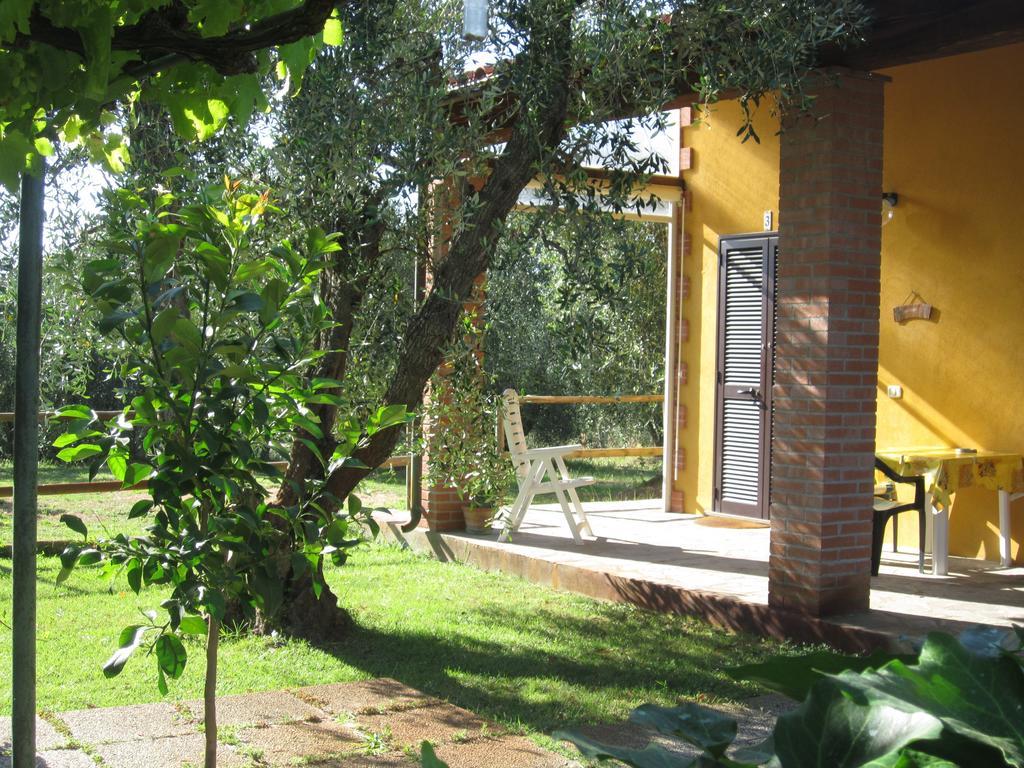 Agriturismo La Carlina Βίλα Magliano in Toscana Δωμάτιο φωτογραφία