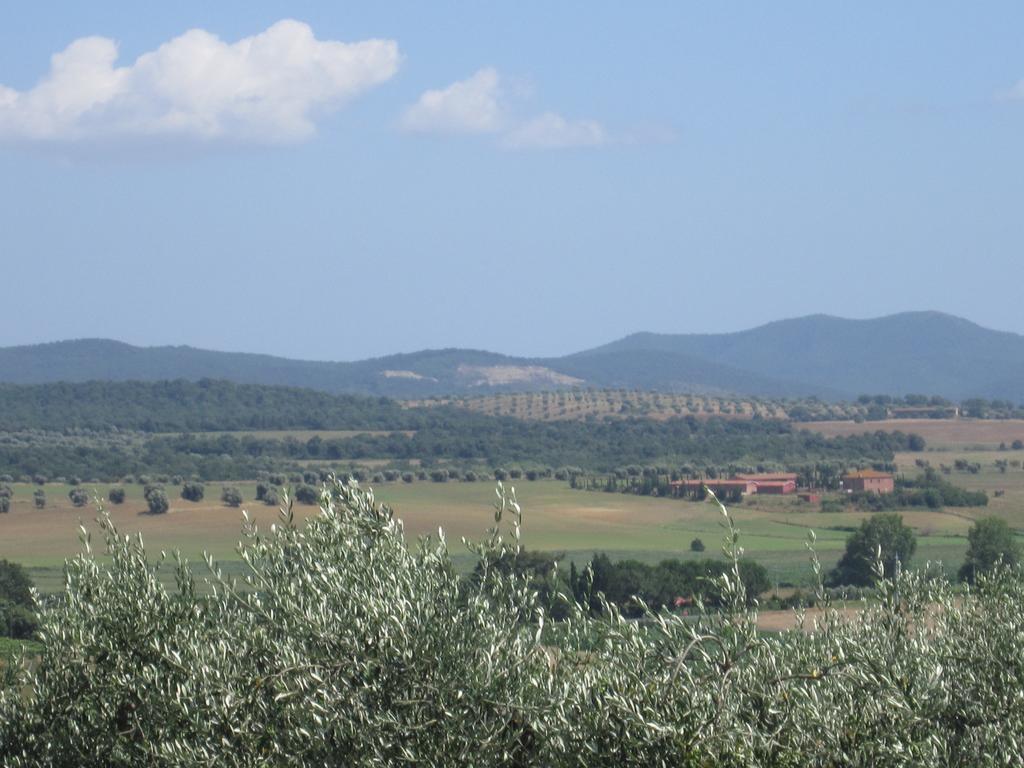 Agriturismo La Carlina Βίλα Magliano in Toscana Εξωτερικό φωτογραφία